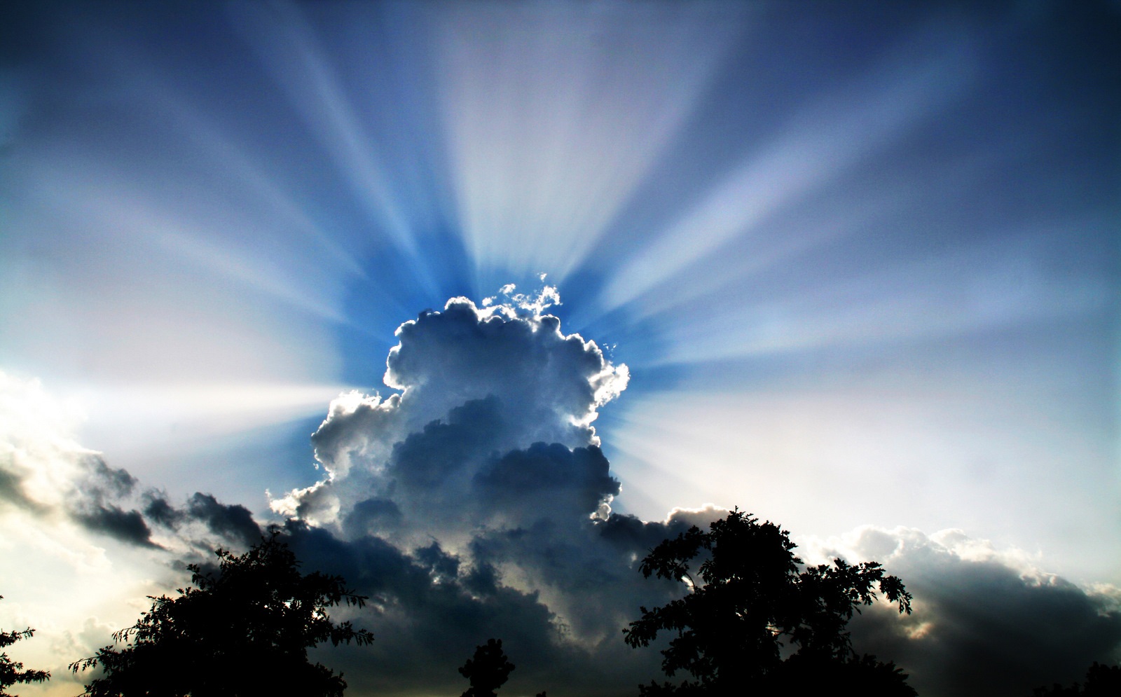 Looking for the silver lining? The whole cloud is silver!