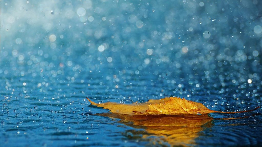 Understanding Tawhid: What is faith and how does it differ from knowledge?