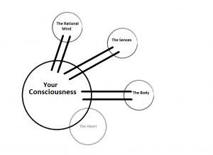 consciousness-diagram2