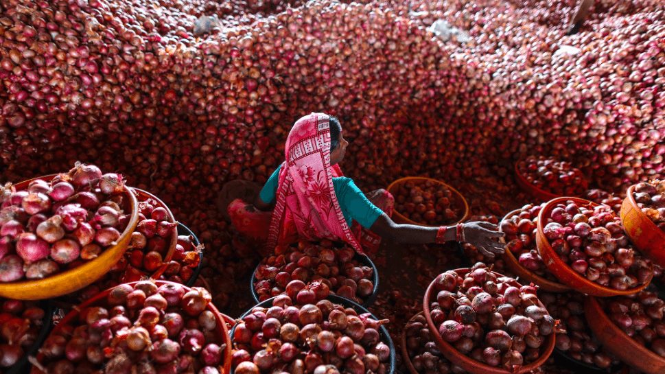 There’s more to Nabil’s onions than meets the eye