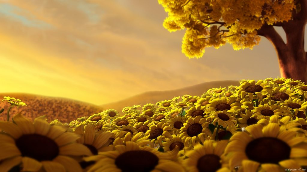 The Quranic recipe to achieving perfection through good manners