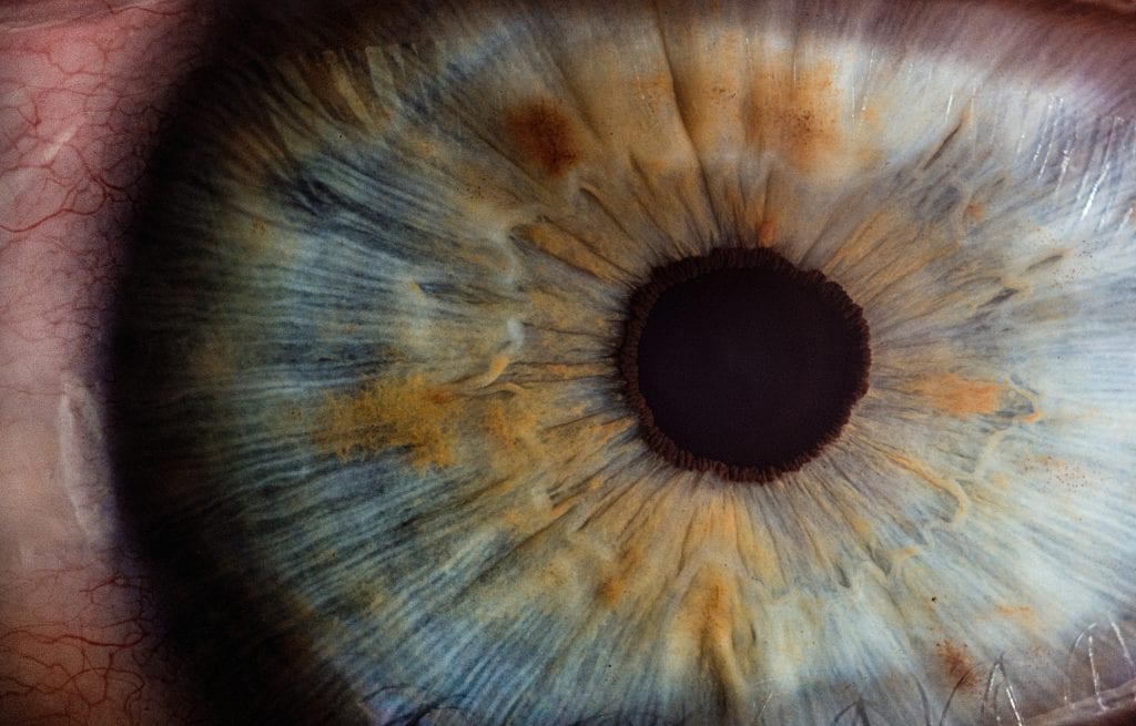The Miracles Of The Quran: Vision