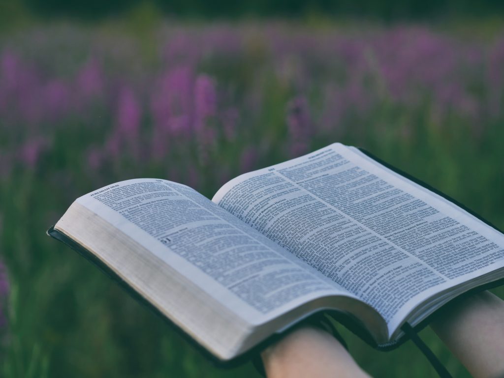 Biblical & Quranic hope in a time of despair