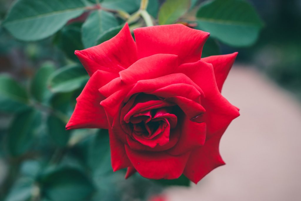 Five lessons to learn from Fatima, the daughter of Prophet Mohammad